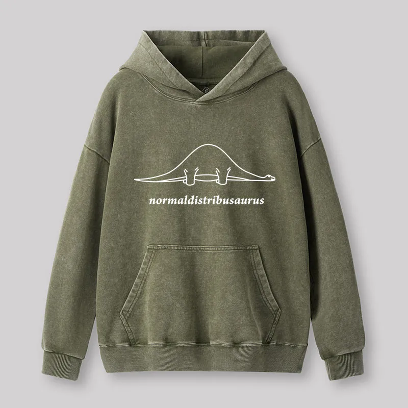 Normal Distribution Dinosaur Washed Hoodie - Image 3
