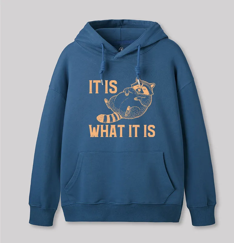This Is What It Is Geek Hoodie - Image 3