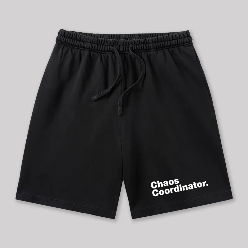 Chaos Coordinator Geeky Washed Shorts