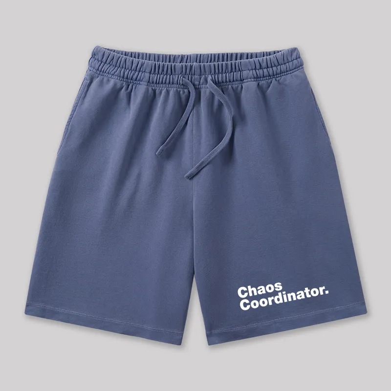 Chaos Coordinator Geeky Washed Shorts - Image 6
