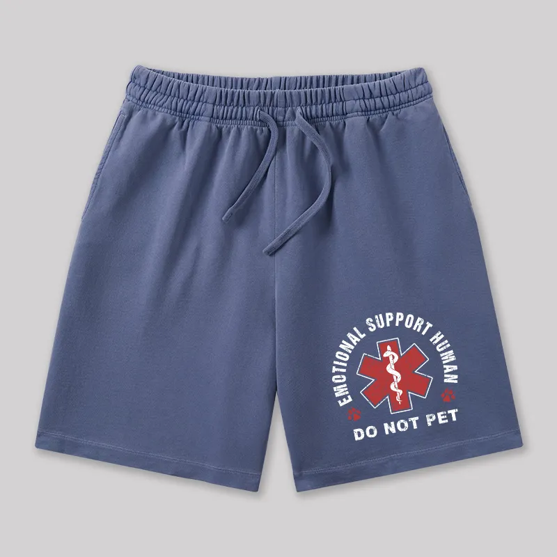 Emotional Support Geeky Washed Shorts - Image 6