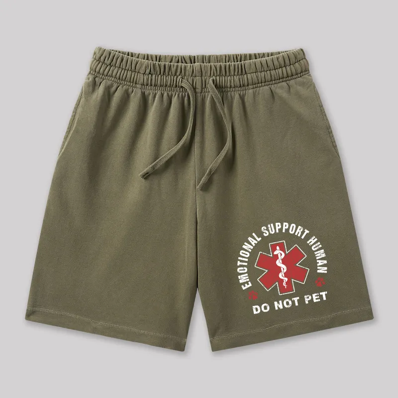 Emotional Support Geeky Washed Shorts - Image 3