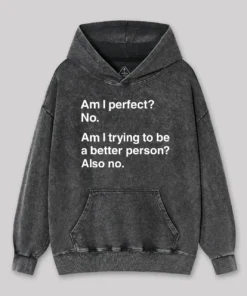 Am I Perfect No Geek Washed Hoodie