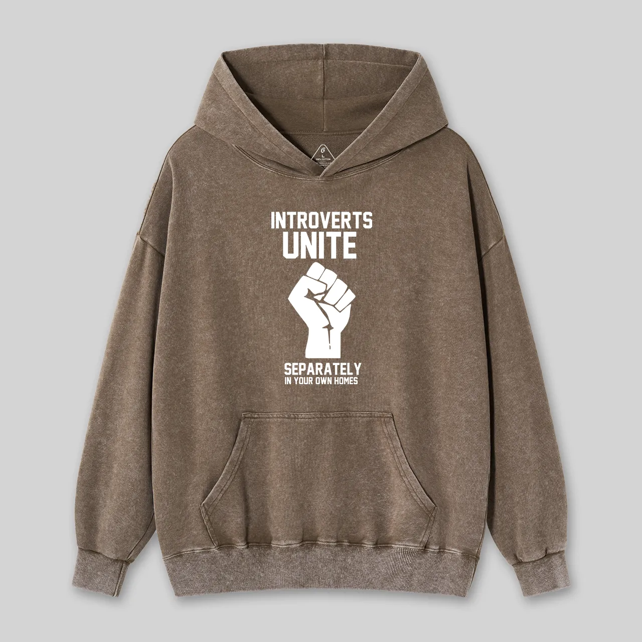 Introverts Unite Geek Washed Hoodie - Image 2