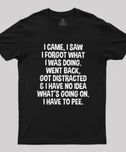 I Came I Saw I Forgot What I Was Doing Geek T-Shirt