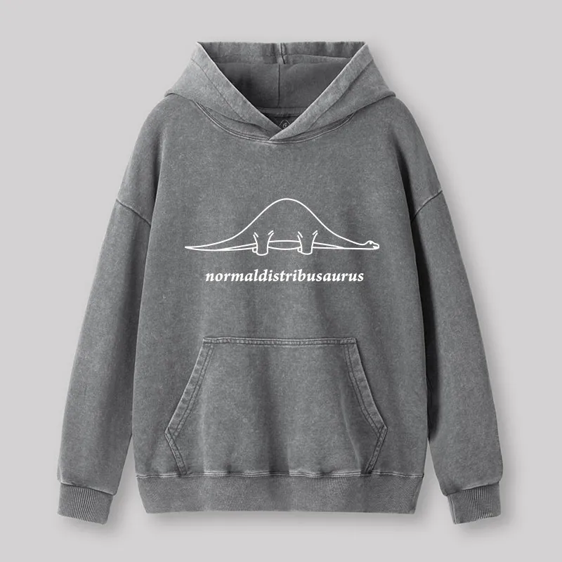 Normal Distribution Dinosaur Washed Hoodie - Image 2