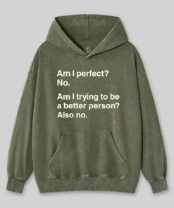 Alternative view of Am I Perfect No Geek Washed Hoodie