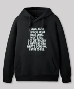 I Came I Saw I Forgot What I Was Doing Geek Hoodie