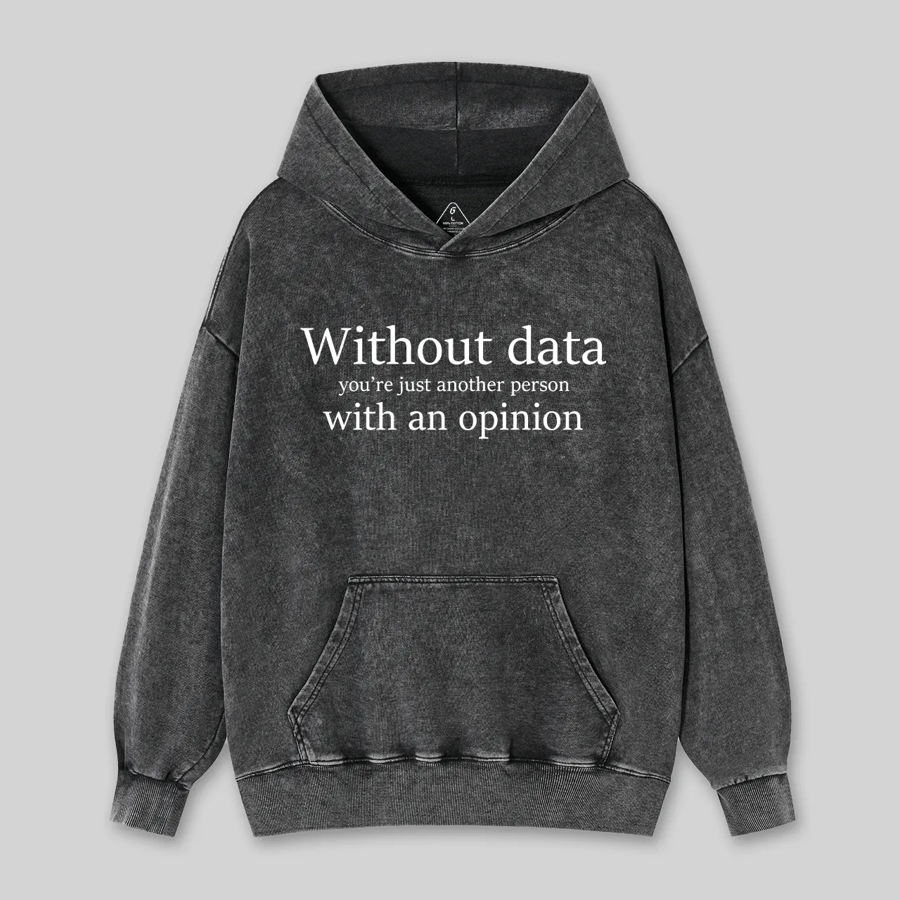 Without Data You're Just Another Person Washed Hoodie - Image 2