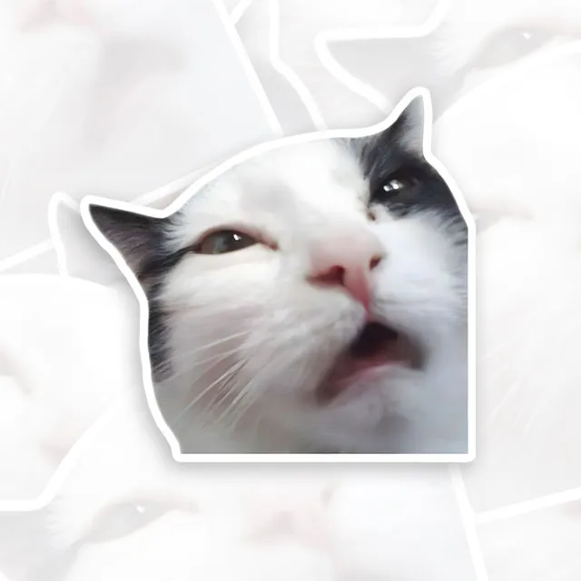 Confusing Cat Funny Geek Sticker