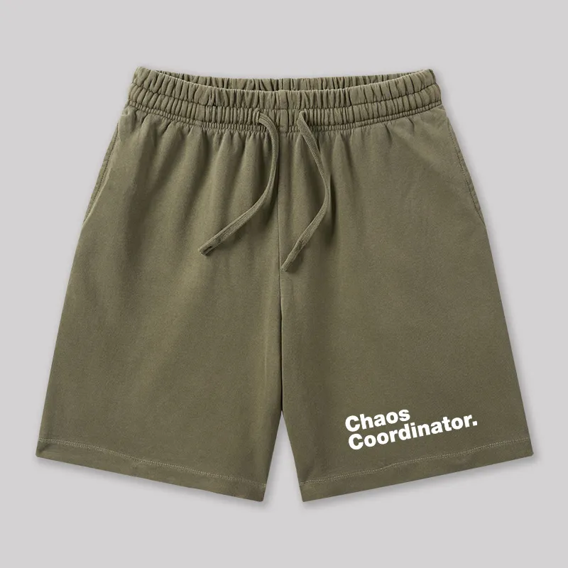 Chaos Coordinator Geeky Washed Shorts - Image 3