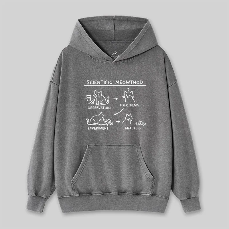 Scientific Meowthod Washed Hoodie - Image 2