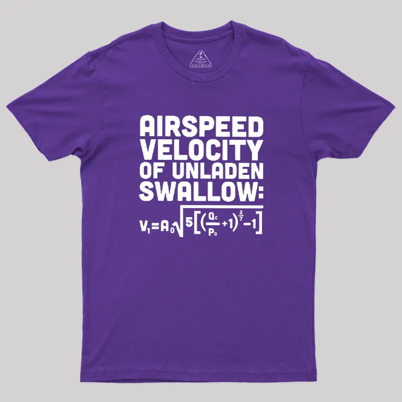 Airspeed Velocity of an Unladen Swallow Geek T-Shirt - Image 6