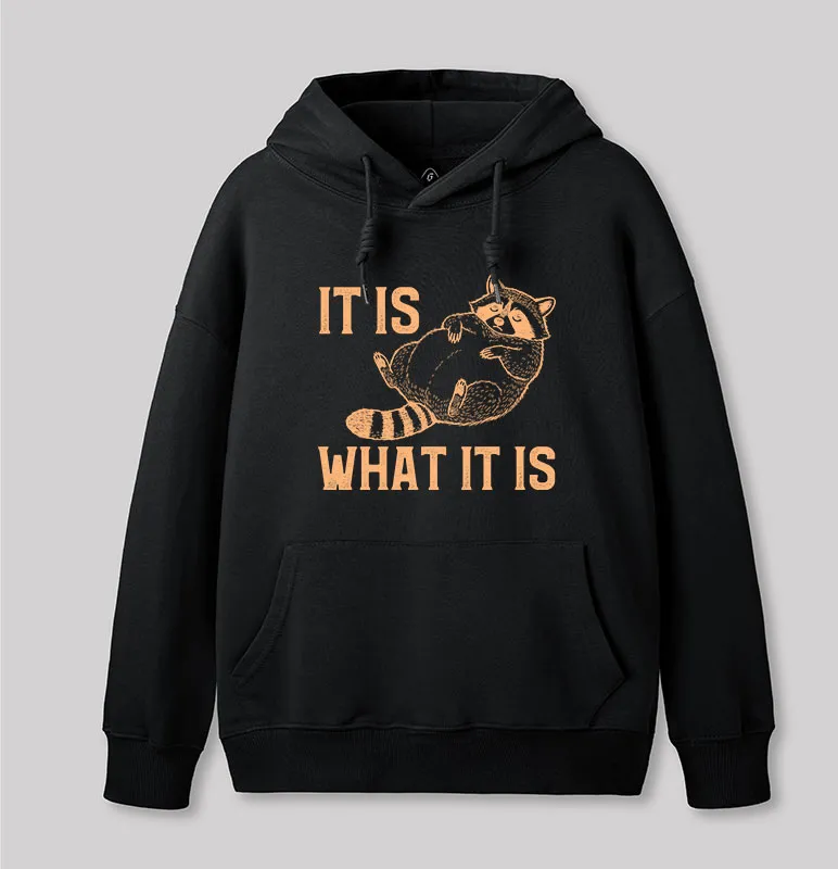 This Is What It Is Geek Hoodie - Image 2
