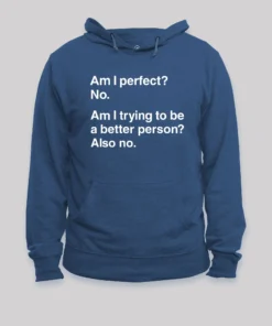 Am I Perfect No Geek Hoodie