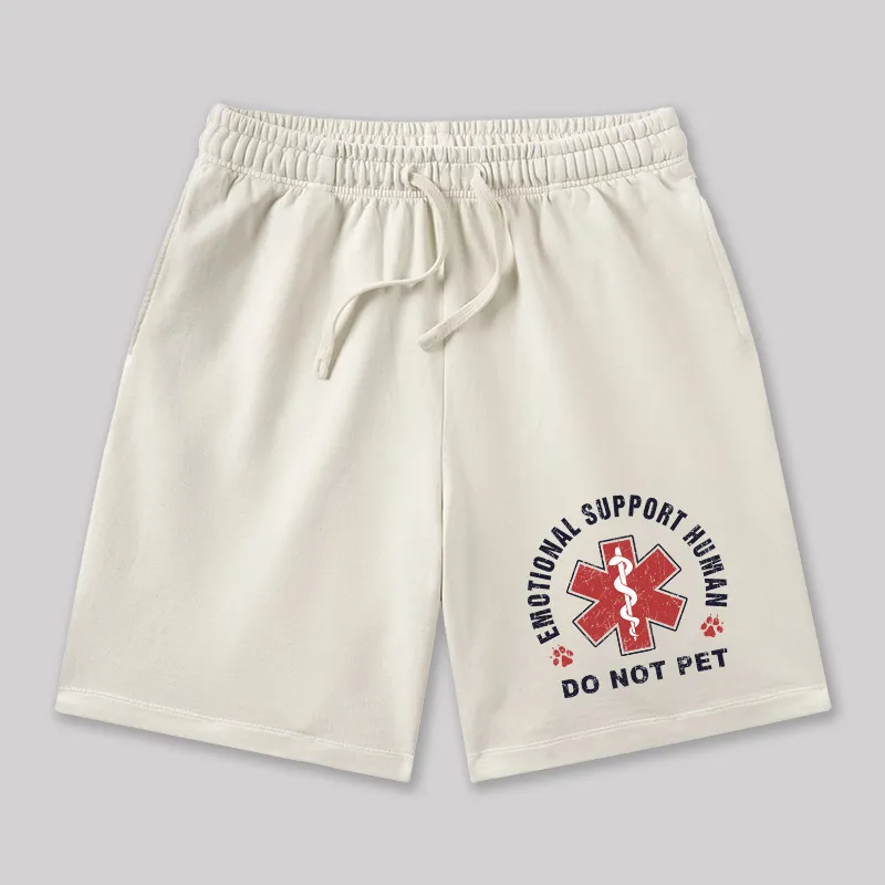 Emotional Support Geeky Washed Shorts - Image 4