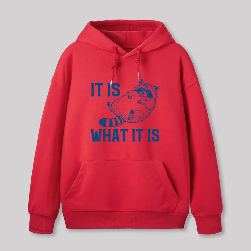 This Is What It Is Geek Hoodie - Image 5