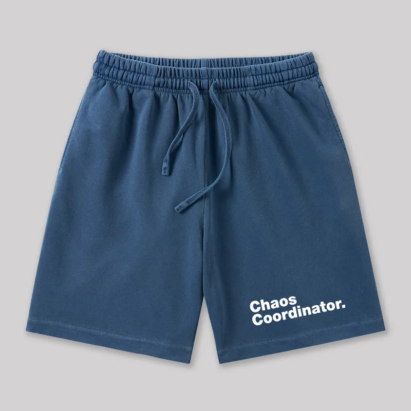 Chaos Coordinator Geeky Washed Shorts - Image 5