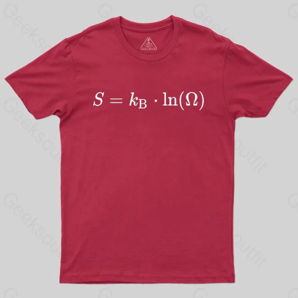 Boltzmann Entropy, statistical physics and thermodynamics T-shirt - Image 7