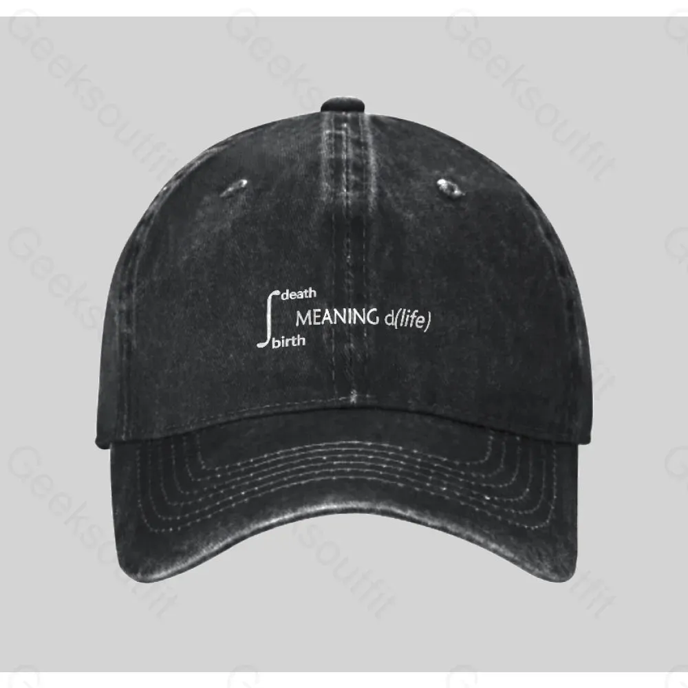 Calculus Meaning of Life Washed Vintage Baseball Cap