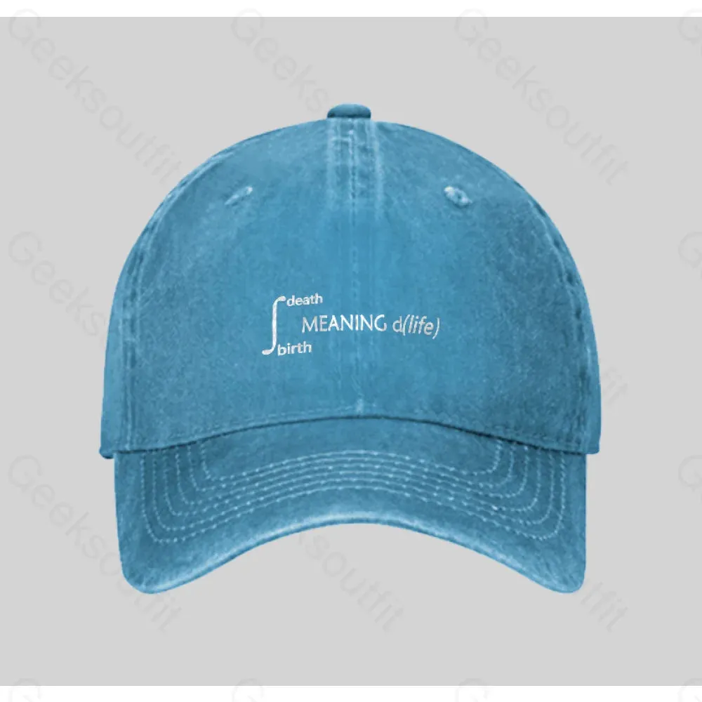 Calculus Meaning of Life Washed Vintage Baseball Cap - Image 4