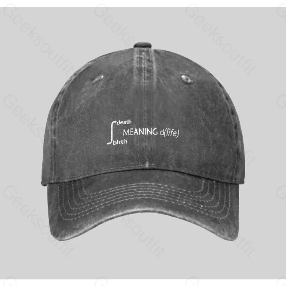 Calculus Meaning of Life Washed Vintage Baseball Cap - Image 2