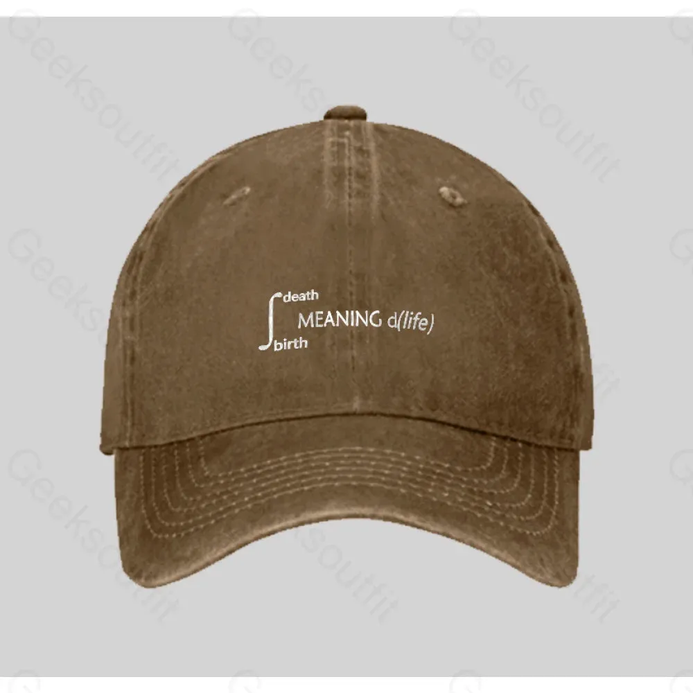 Calculus Meaning of Life Washed Vintage Baseball Cap - Image 5