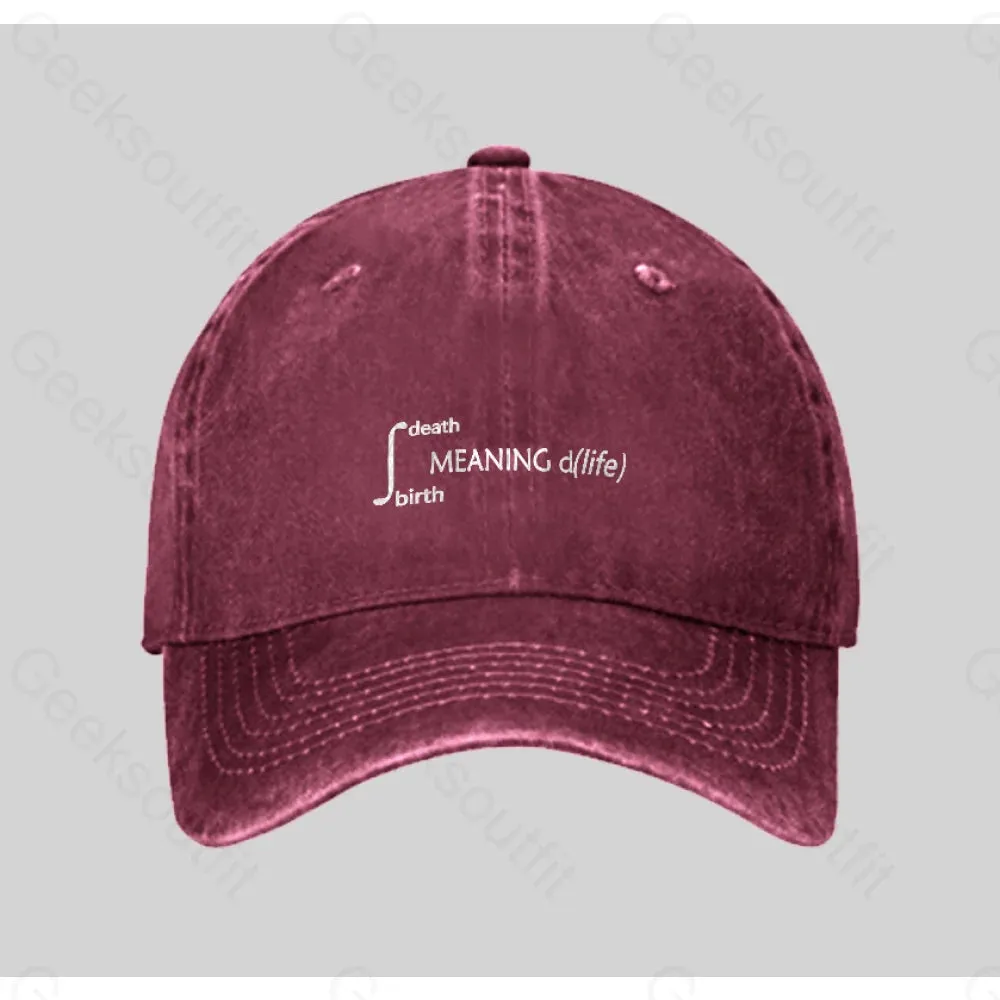 Calculus Meaning of Life Washed Vintage Baseball Cap - Image 3