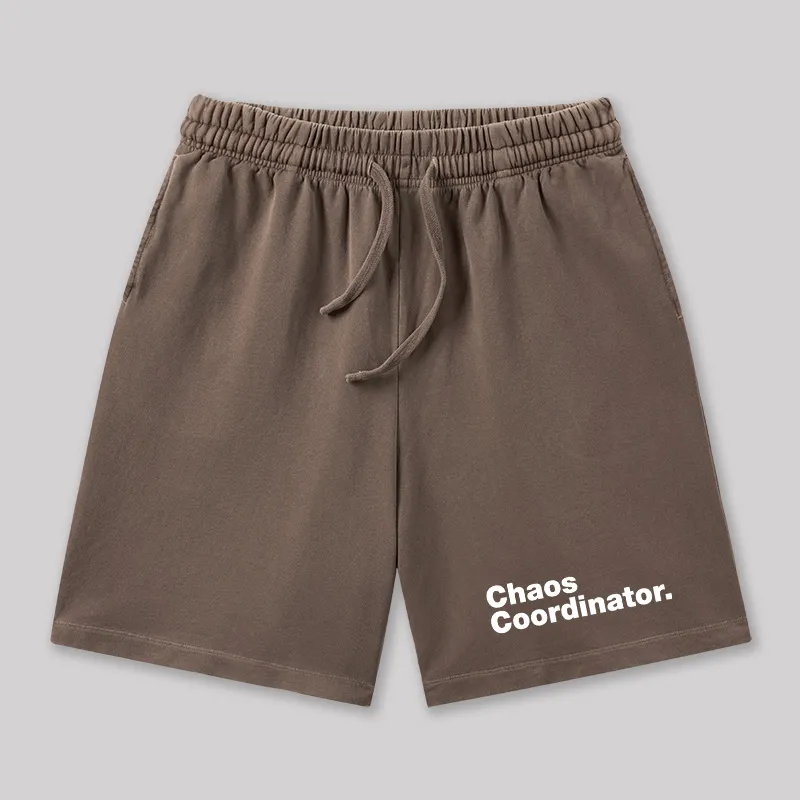 Chaos Coordinator Geeky Washed Shorts - Image 7