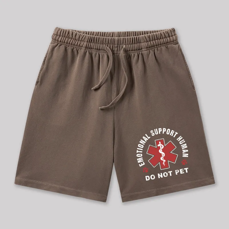 Emotional Support Geeky Washed Shorts - Image 7