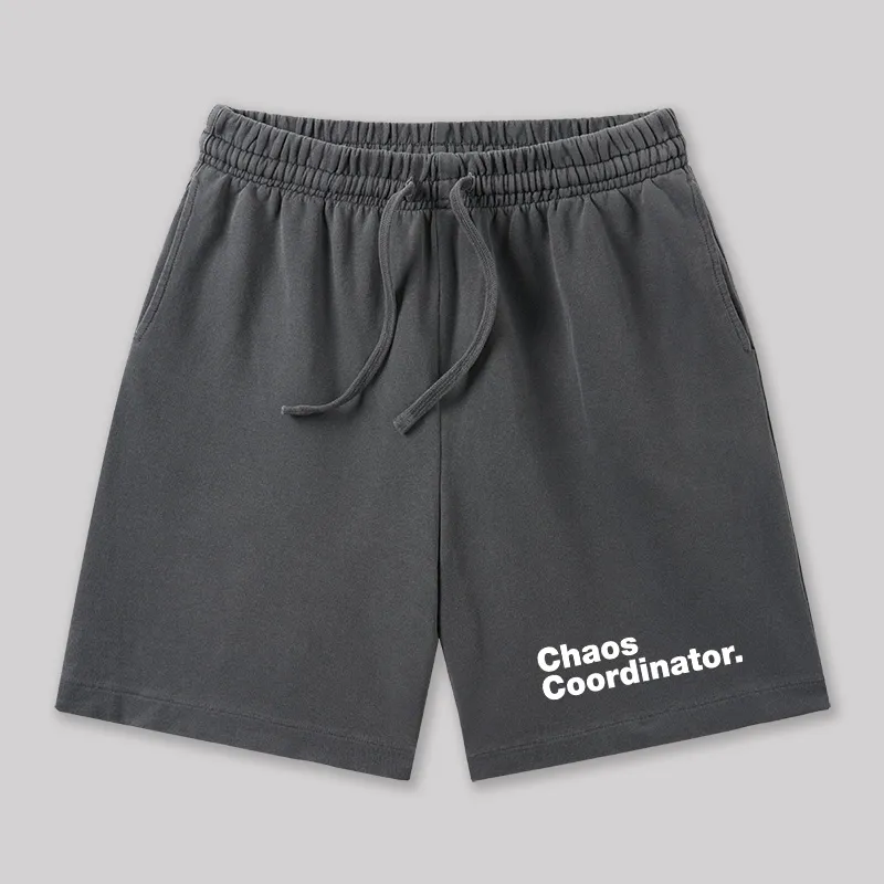 Chaos Coordinator Geeky Washed Shorts - Image 2
