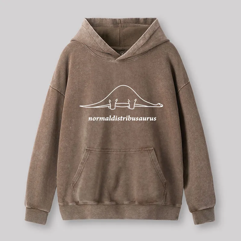 Normal Distribution Dinosaur Washed Hoodie - Image 4