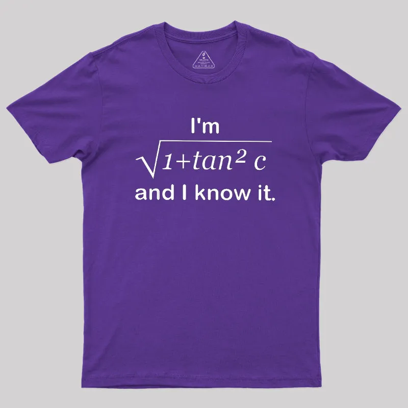 I Know It Geek T-Shirt - Image 6