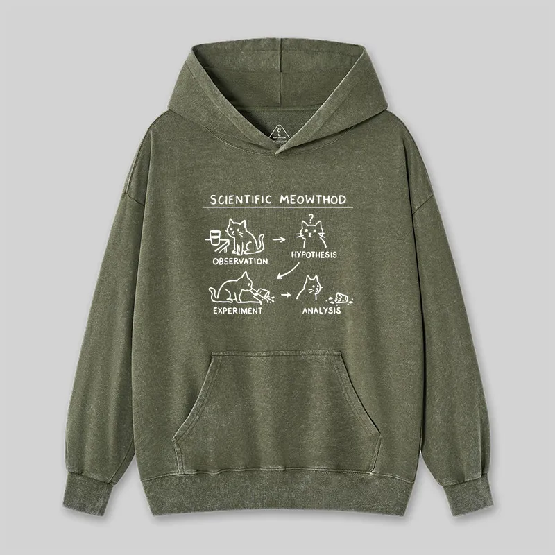 Scientific Meowthod Washed Hoodie - Image 4