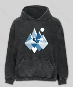 Ice Planet View Washed Hoodie