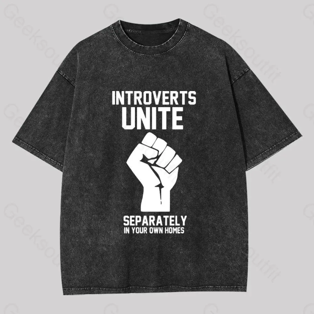 Introverts Unite Washed T-shirt