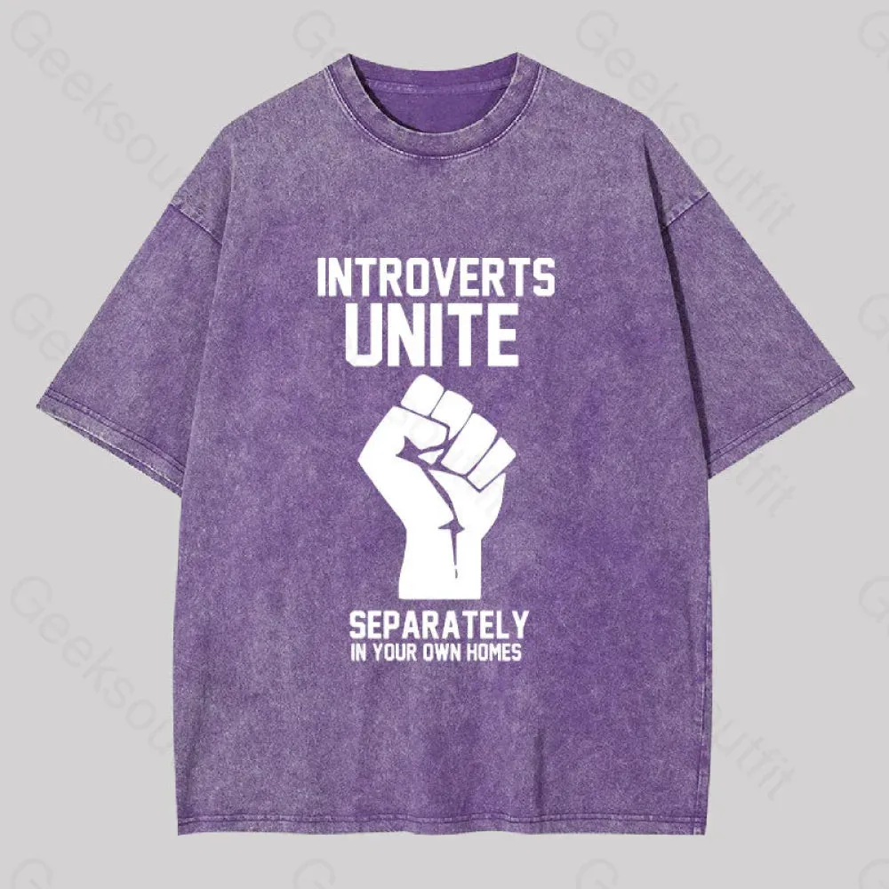 Introverts Unite Washed T-shirt - Image 6