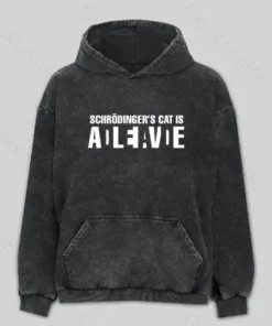 Schr?dinger's Cat ADLEIAVDE Washed Hoodie
