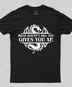 Alternative view of What Doesnt Kill You Give You Experience T-Shirt