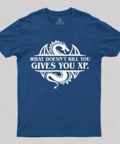 What Doesnt Kill You Give You Experience T-Shirt
